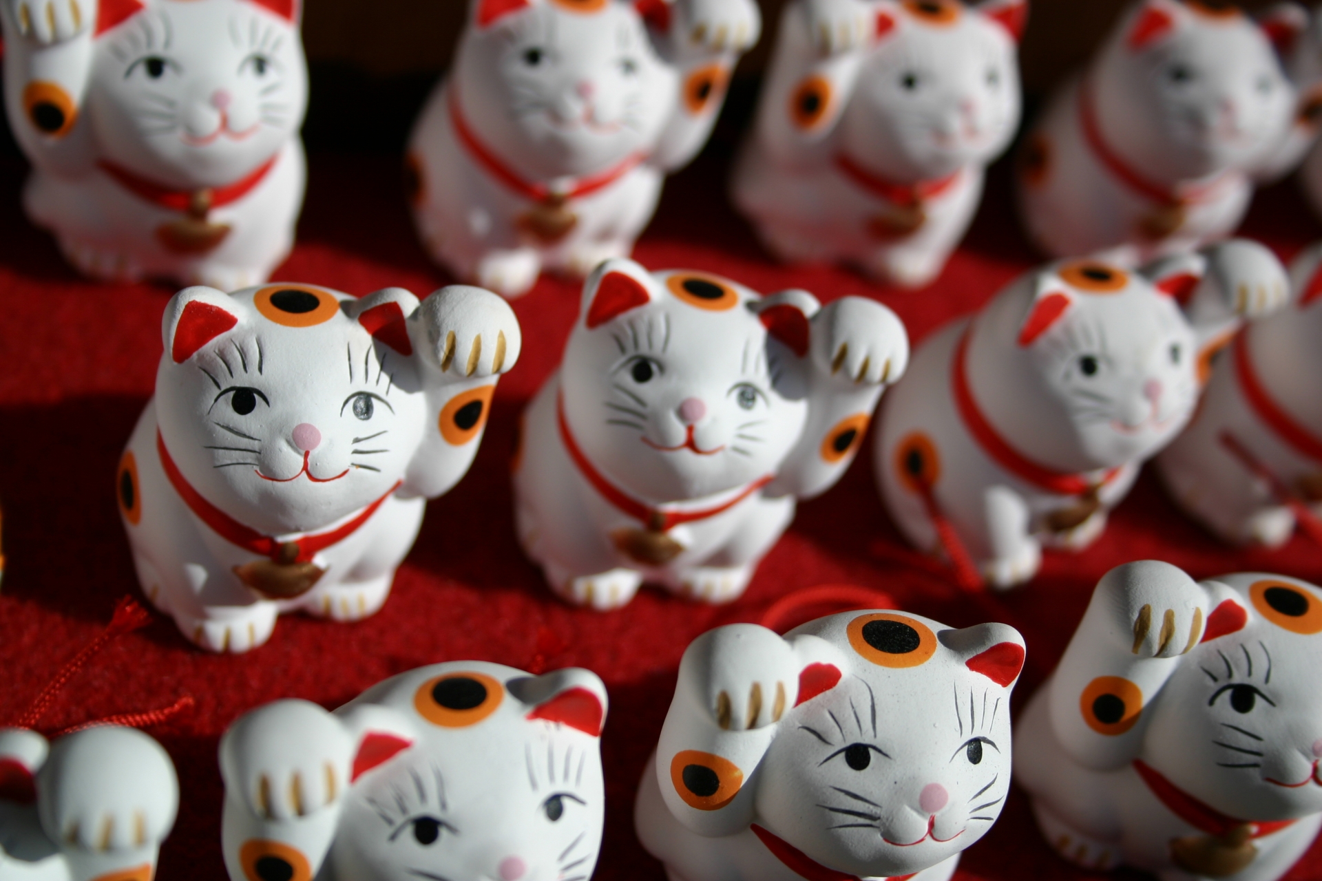 日本のWordPressコミュニティについて